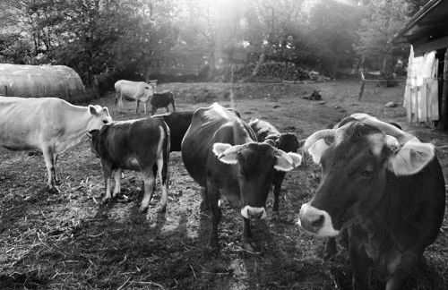 Agriturismo di Charme e Ristorante Stallato Il Filo di Paglia - Foto 35