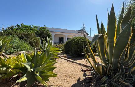 Villa Palma - Foto 26