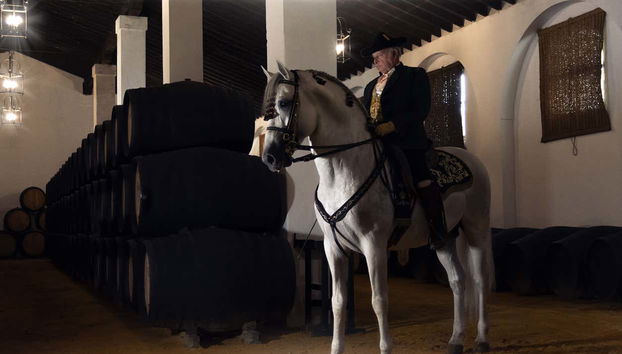 Check out Álvaro Domecq on a horse
