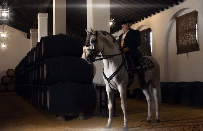 Visite des Bodegas Álvaro Domecq - Photo 1