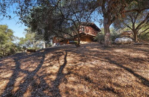 Bear Hollow by Sequoia National Park - Foto 19