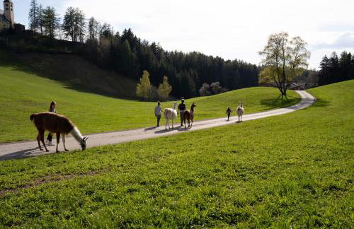 Schupferhof - Foto 33