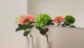 La Torretta - Foto 4