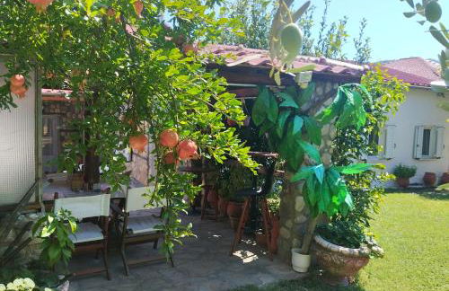 ΑΡΧΟΝΤΙΚΌ Μουζάκι ΚΑΡΔΙΤΣΑ ΤΡΙΚΑΛΑ - Photo 34