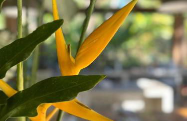 Refúgios Na Mantiqueira - Foto 49