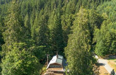 Hot Tub, Sauna, Cold Plunge - 1 mile from Rainier NP - Sleeps 8 - Foto 29