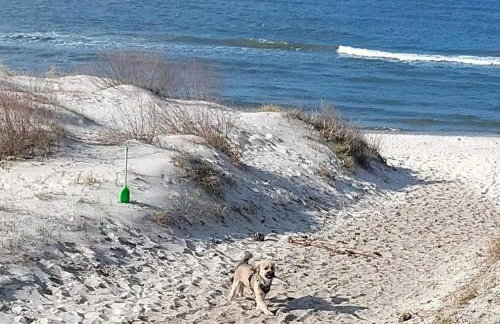 Domus Mare Tiny House 1 - Foto 33