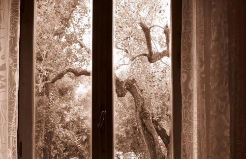 Argentella House - Foto 34