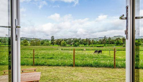 Foxglove - Uk37639 - Photo 2