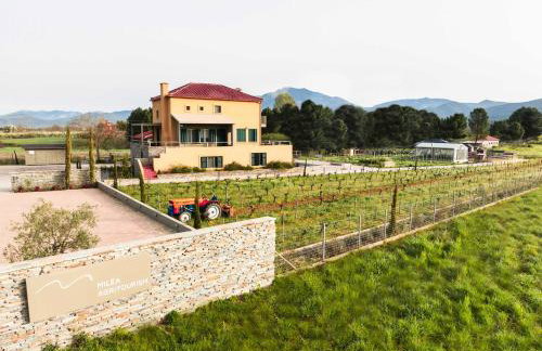 Milea Agritourism - Foto 65