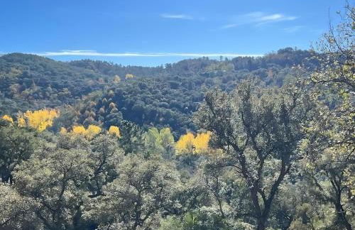 Mentha Nature Space Jabugo - Foto 29