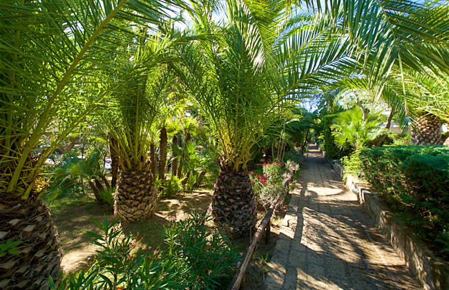 Three-room Classic - Foto 41