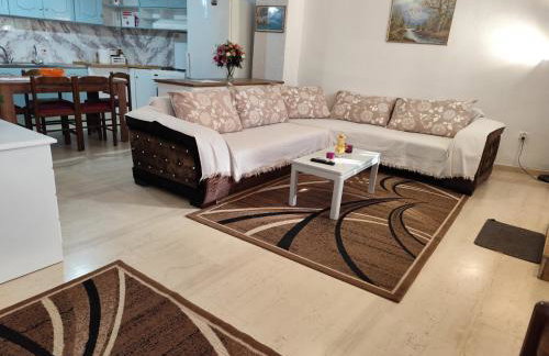 Ευρύχωρο και άνετο διαμέρισμα στην Ιτέα Joanna's Apartment - Foto 6