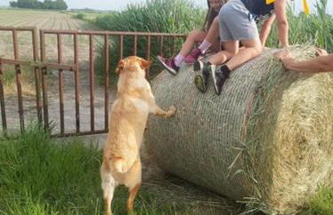 Ferienhaus Emma - Foto 15