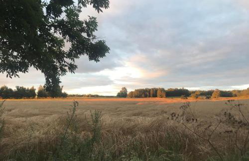RAJSKIE SIEDLISKO Podlasie - Photo 25