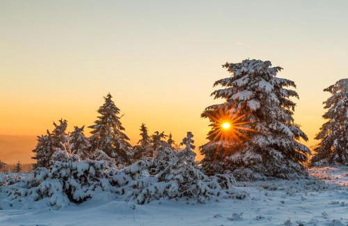 Villa Silberberg - Photo 39