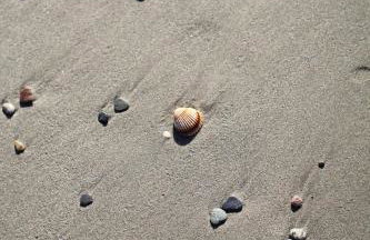 Casa del Mar Vera Costa - Foto 36