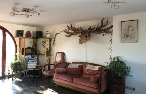 Le 115 Retour aux Sources - Foto 1