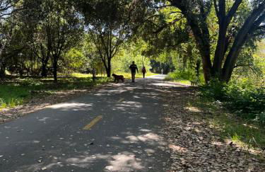 Spacious Home Steps from Huge Park and Outdoor Fun - Foto 58