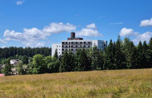 Fewo Schwarzwald Von Oben - Kniebis - Foto 17
