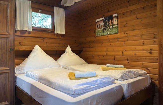 Gemutliche Unterkunfte auf dem Reiterhof in Eschede - Foto 17