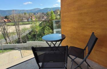 Residenz Kąpielowa - widok na Śnieżkę - Photo 14