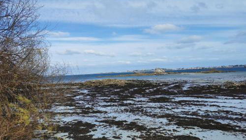 Le Prat - Santec - Foto 4