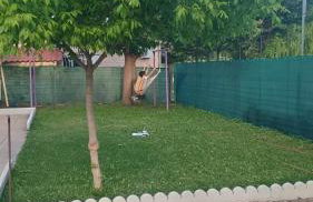 Yard of Panos - Foto 10