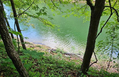 Little blue house on the lake - Photo 7