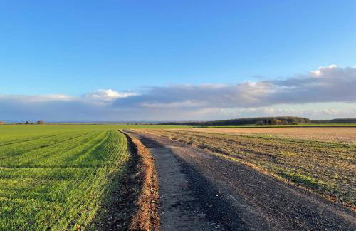 The Garden House - Photo 31