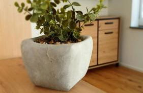 Moselzeit - Ferienwohnung "Riesling" - Foto 15