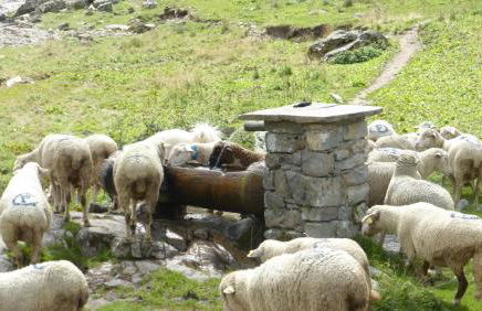 Résidence Les Ecrins - Foto 14