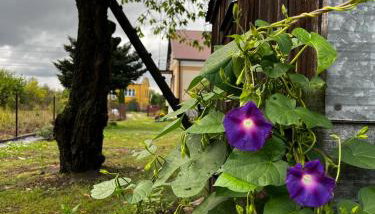 Domek na wsi kieleckiej - Foto 2