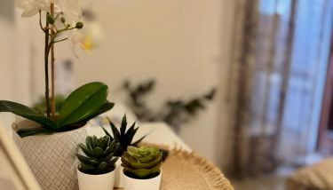 Fiore di Marte - Foto 2