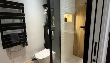 Papillon de cimiez - Foto 5