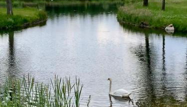 Komfortowy domek z kominkiem drawskie - Foto 5