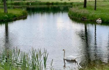 Komfortowy domek z kominkiem - Foto 5