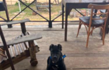 Verano House BF - Foto 15