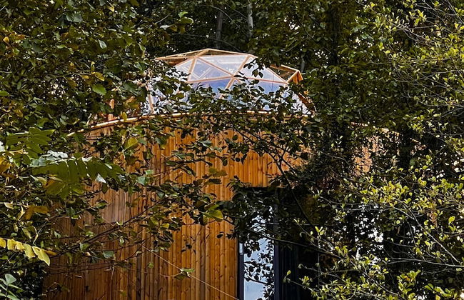 Glamping Martini Kvariati - Foto 37