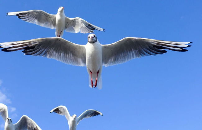 "residential Residence" Modern Retreat - Foto 12