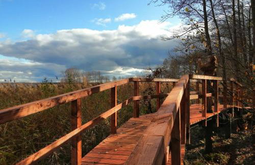 Wigierski Park Narodowy - Foto 49