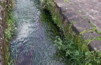 Historic Cottage & Garden nr Quantock Hills - Foto 32