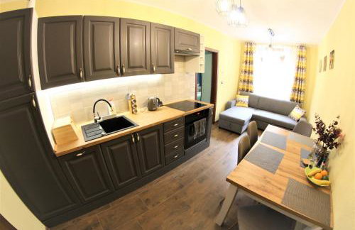 Apartamenty Zielone Centrum - Foto 15