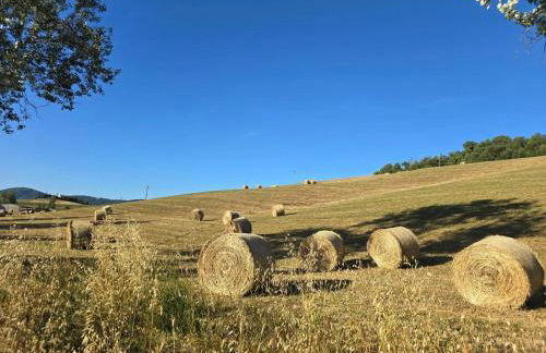 Villette di Contignano - Foto 77