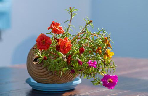 Stella's traditional house. - Foto 59