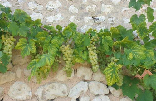 La Chaumière - Foto 16