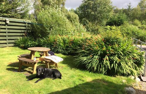 The Pines Self-catering cottage,Wester Ross, Scotland - Foto 24