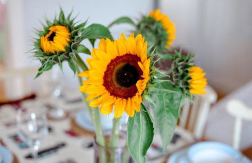 Perfect Booking Near Ramsgate Station And Beach - Foto 13