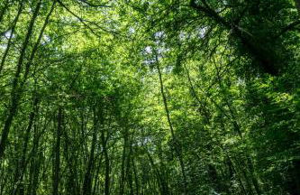 Casale Le Sette Vene - Photo 67