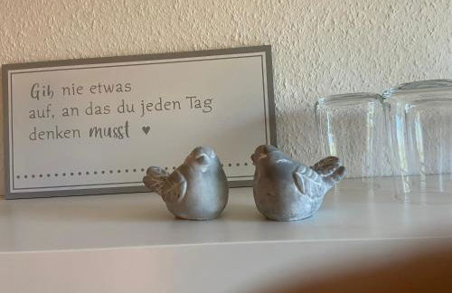 Gelbes Haus Seenland Ferienwohnungen XL - Foto 26